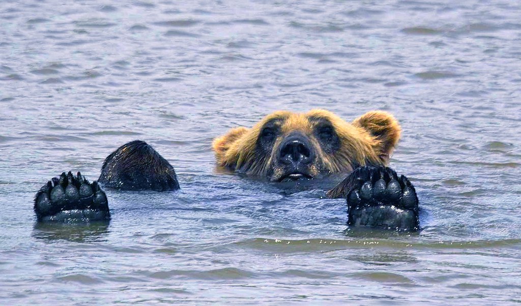 Come and relax at Marlows on the Kenai Come and relax at M… Flickr