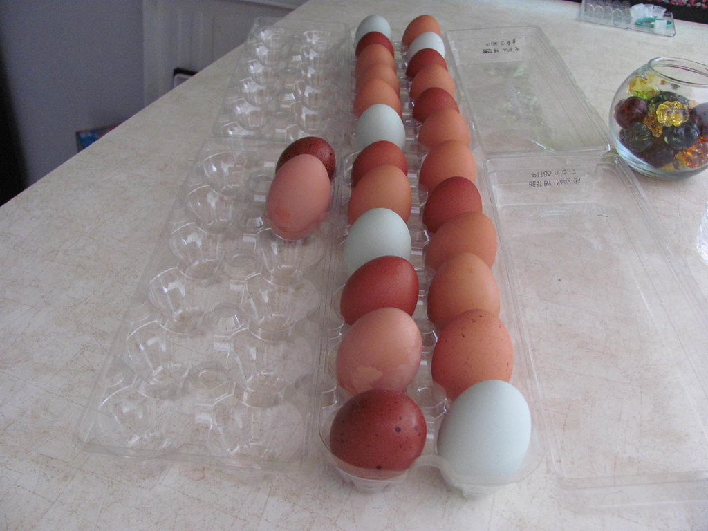Naturally colored chicken eggs These are some of the eggs … Flickr
