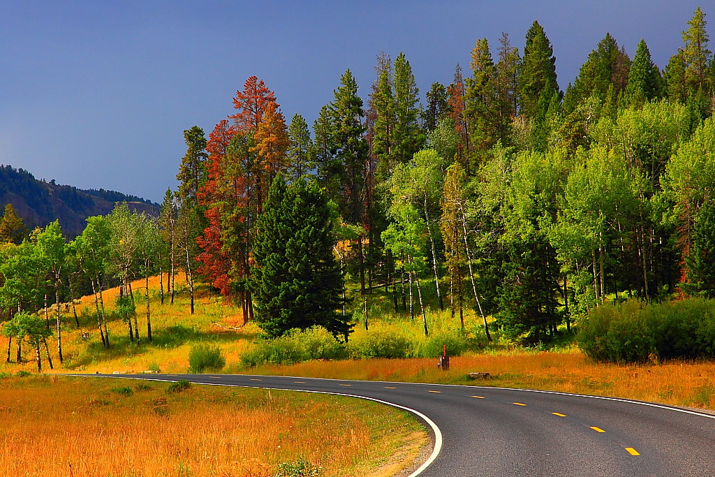 IMG_6010 Northeast Entrance Road, Yellowstone National Par… Flickr