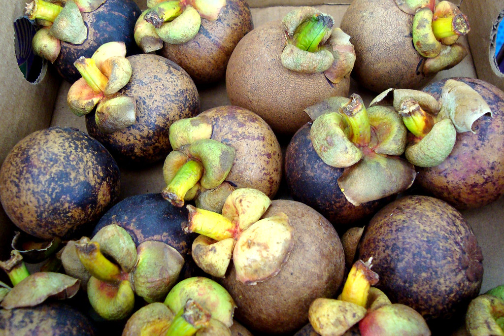 FPM1169 Frutas Mangostão O mangostão (Garcinia mangostana… Flickr