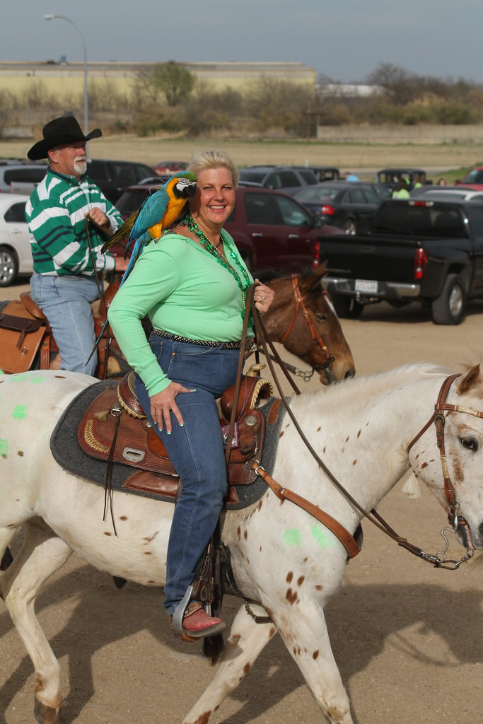 RM Performance Horses Texas A week spent with Maddy and … Flickr