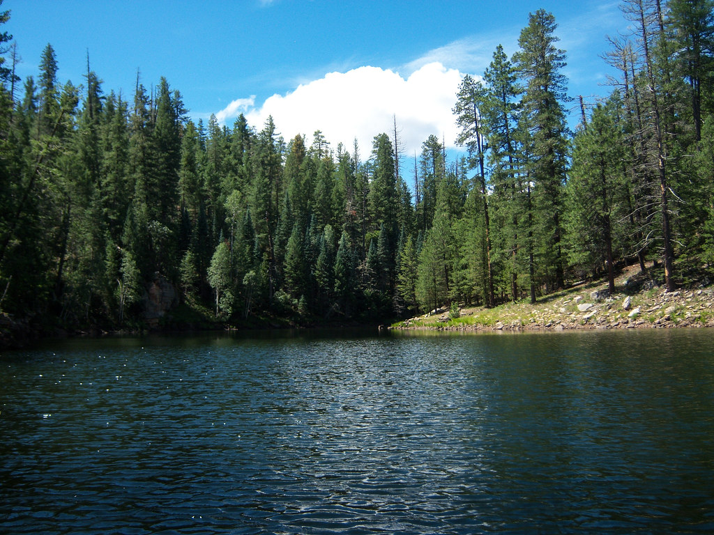 Knoll Lake This secluded forest lake is surrounded by pond… Flickr