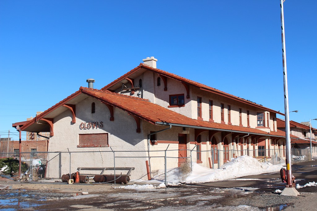 Clovis New Mexico Veterinarians at Daryl Edward blog