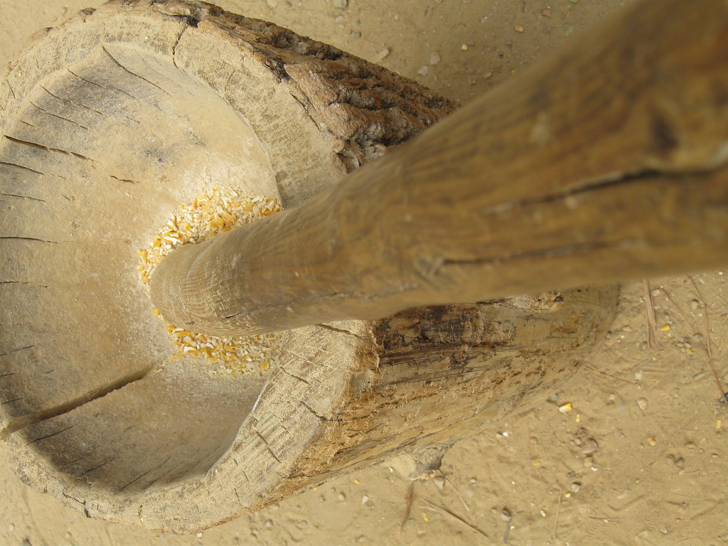 Corn Grinder Corn grinder at the Powhatan Indian Village a… Flickr