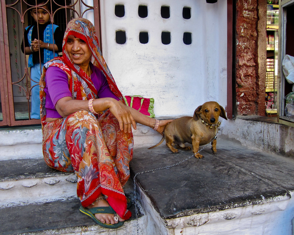 Udaipur 004 Pet dogs are rare in India Follow my travels… Flickr