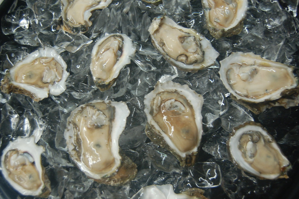 Fresh Louisiana Oysters Fresh Louisiana Oysters are so swe… Flickr