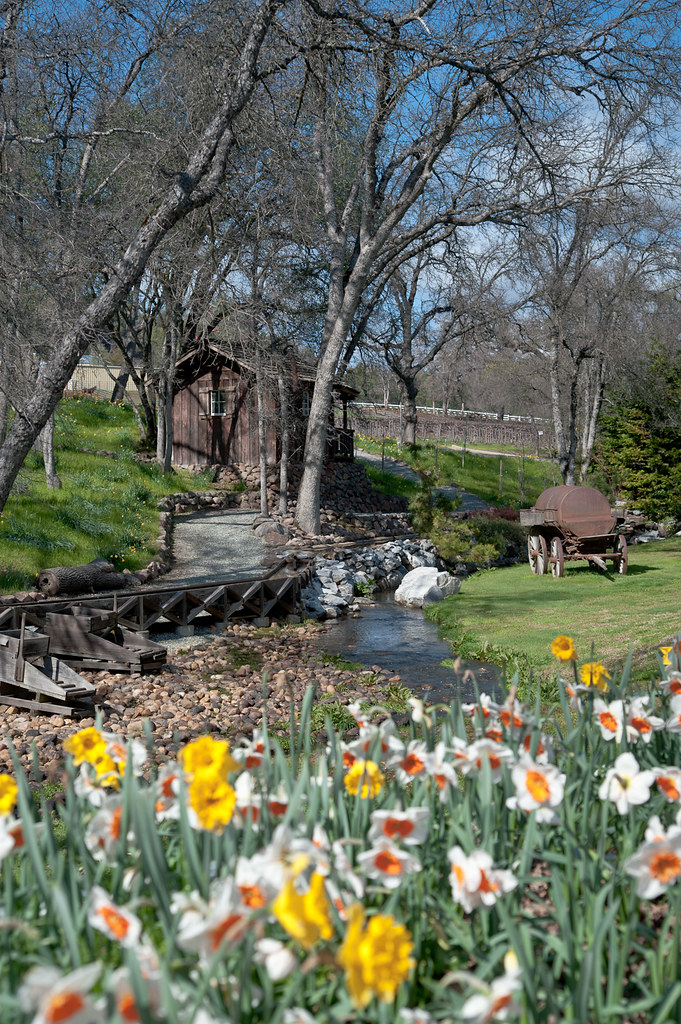 Ironstone Vineyards unclebumpy Flickr