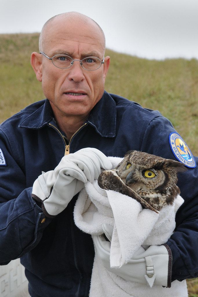 Rescuing an Injured Owl Protection Island National Wildlif… Flickr