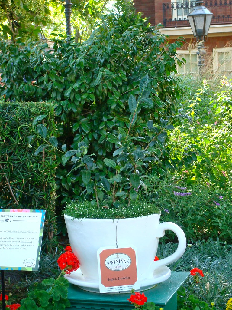 English Tea Garden Flower & Garden Festival PidginPea Flickr