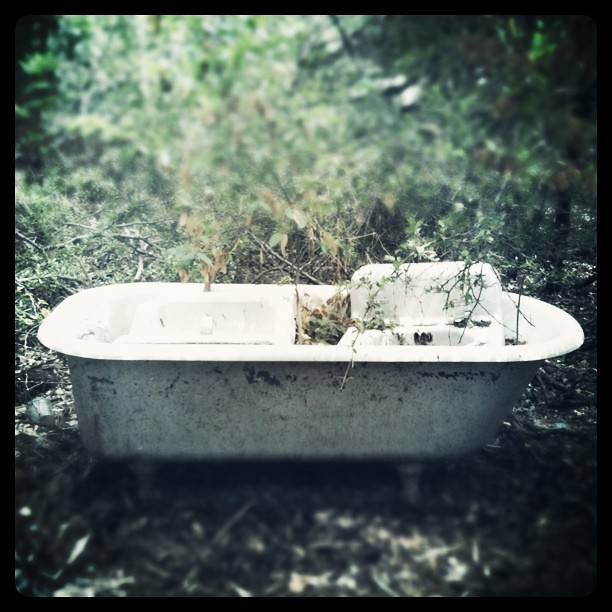 Bathtub in the woods. Paul Zoeller Flickr