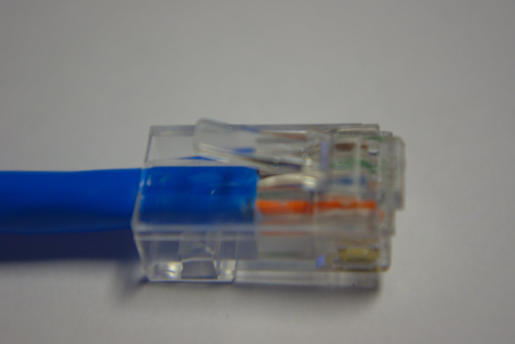 Cat 6 Cable End Dagny Mol Flickr