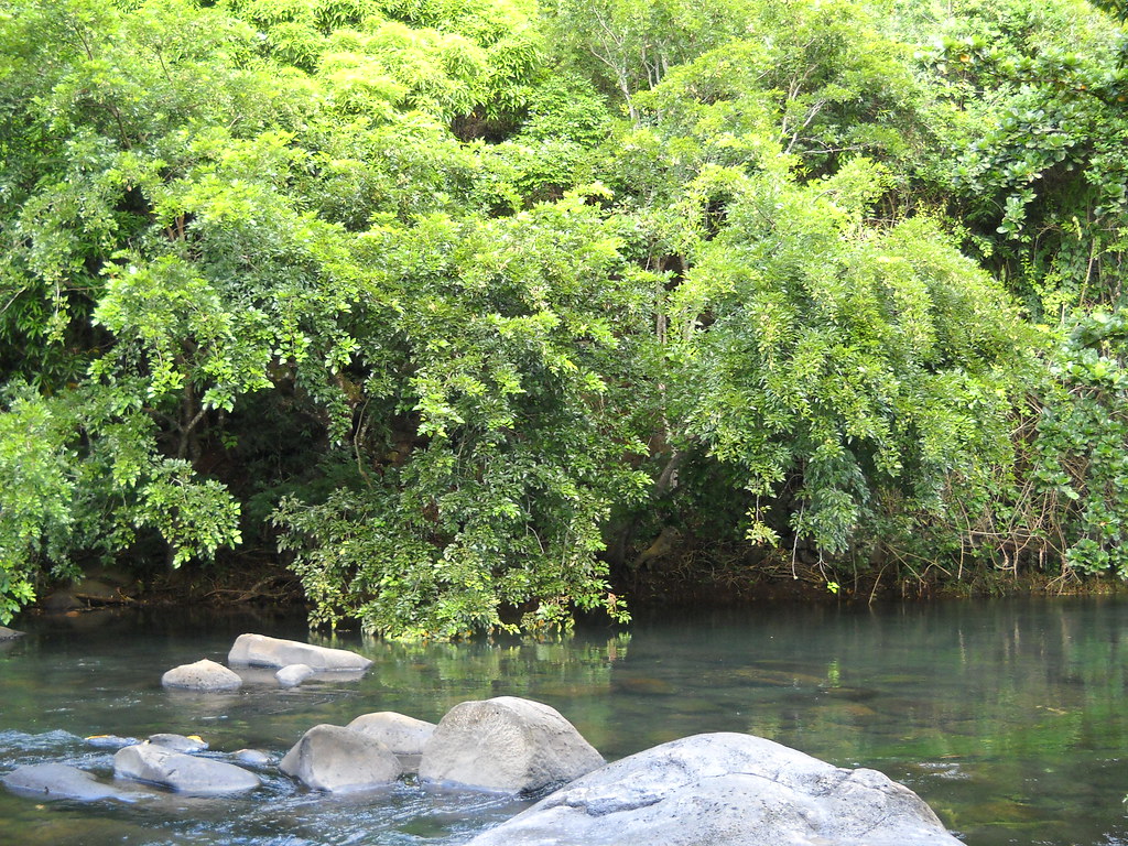 Riviere du Poste (2) Sortie VEPA 3.04.2011 BurtyN Flickr