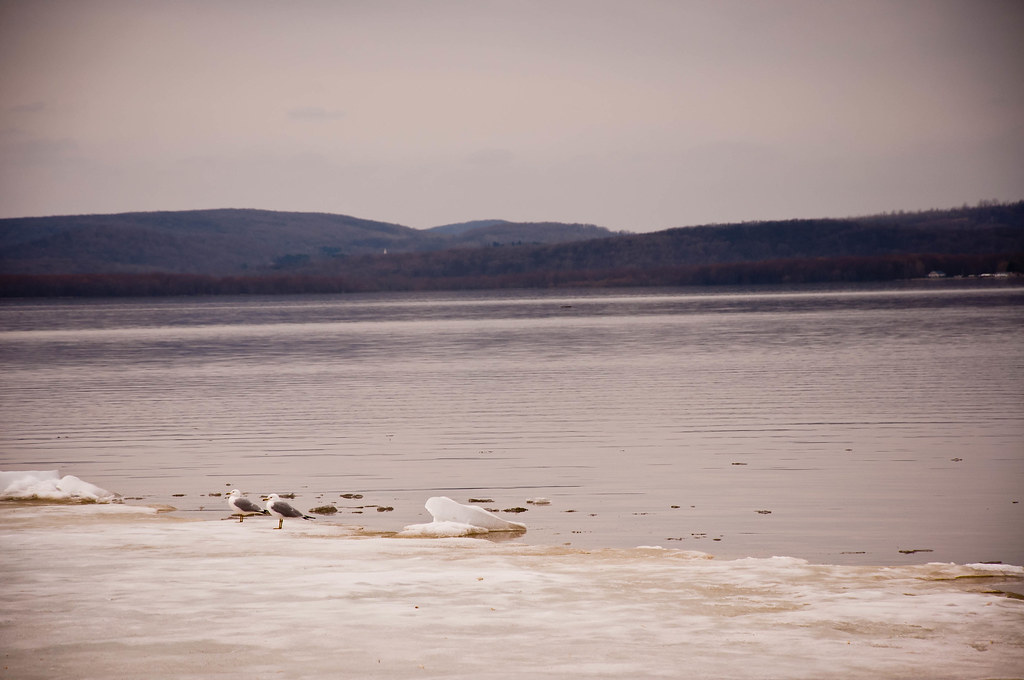 Lac des DeuxMontagnes Vu a partir du parc du Cap StJacqu… Flickr