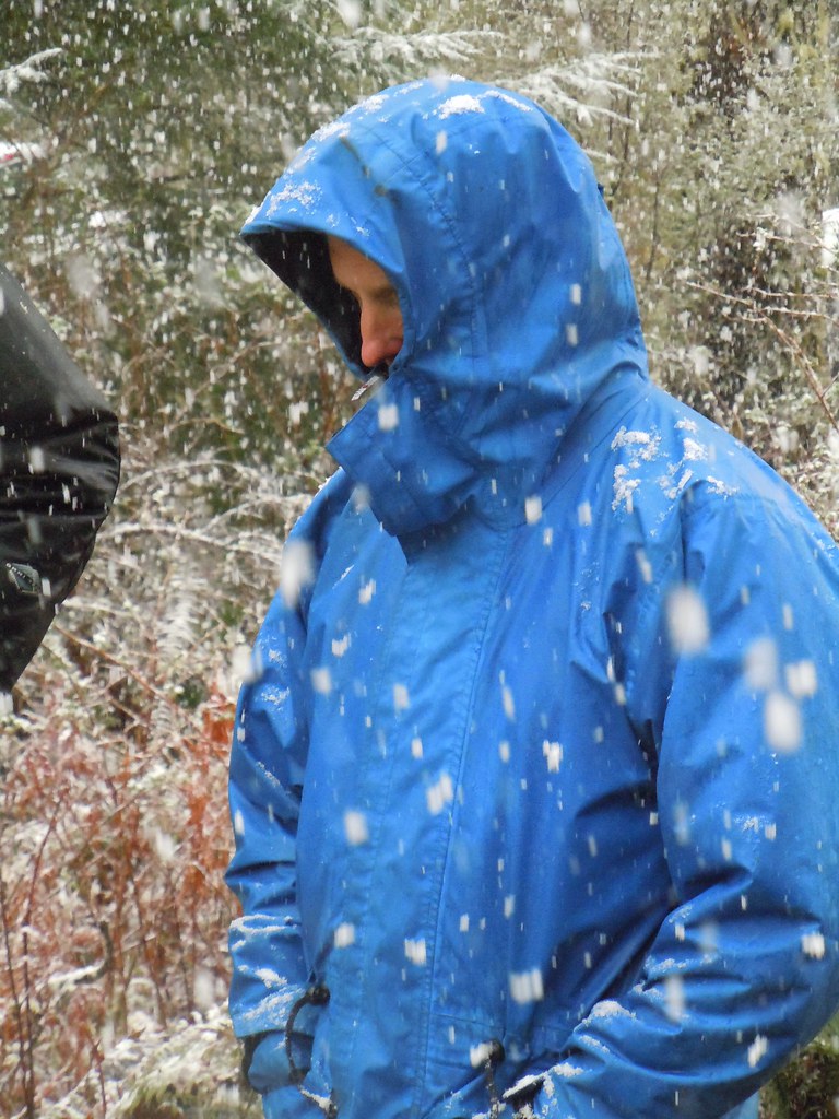RZ Swiss Needle Cast Tour 2011 053 World Forest Institute Flickr