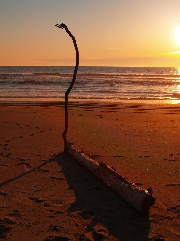 Coos Bay North Bend, OR Coos Bay / North Bend, OR Southp… Flickr