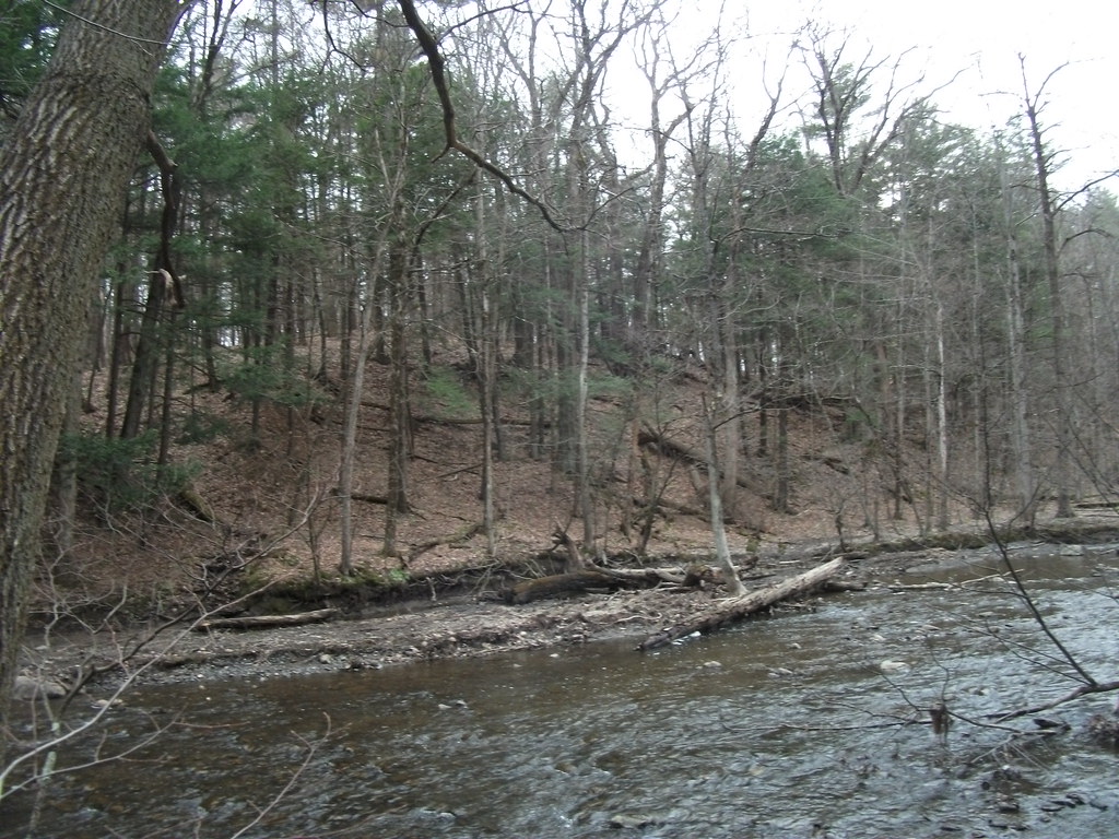 Lisha Kill Preserve Niskayuna, New York Lisha Kill Prese… Flickr