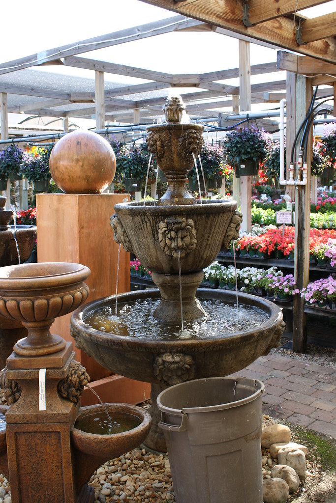 Driftwood Garden Center Naples, Fl Lori Shaffer Flickr