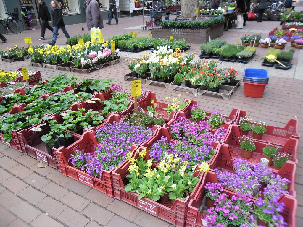 Altona square flower market bgv23 Flickr