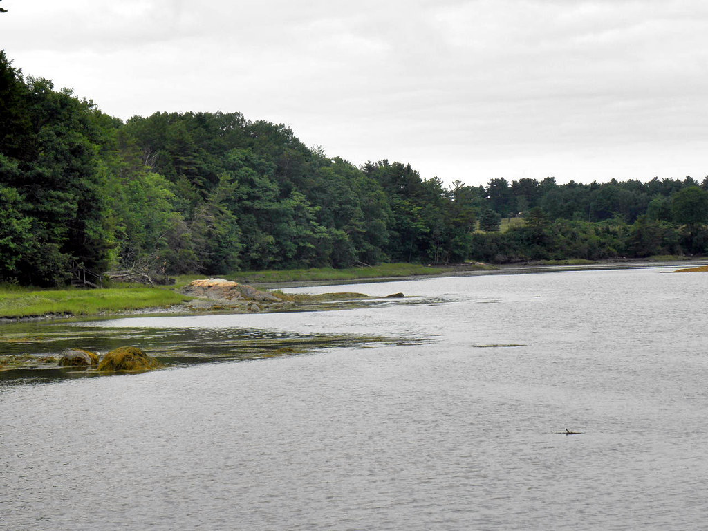 Wolfs Neck State Park 3 Ron Gay Flickr