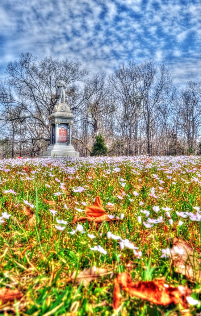 Many Little Flowers Shiloh National Military Park Shiloh, … Flickr