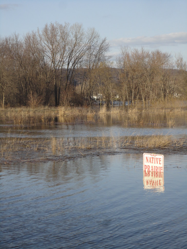 Native Prairie Prairie Du Chien, WI Paul Sableman Flickr