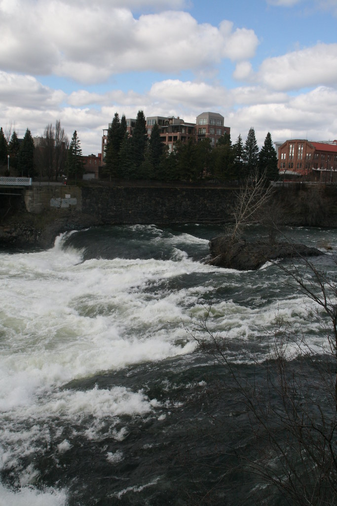 Washington State Spring Break 2011 780 Peggy Flickr