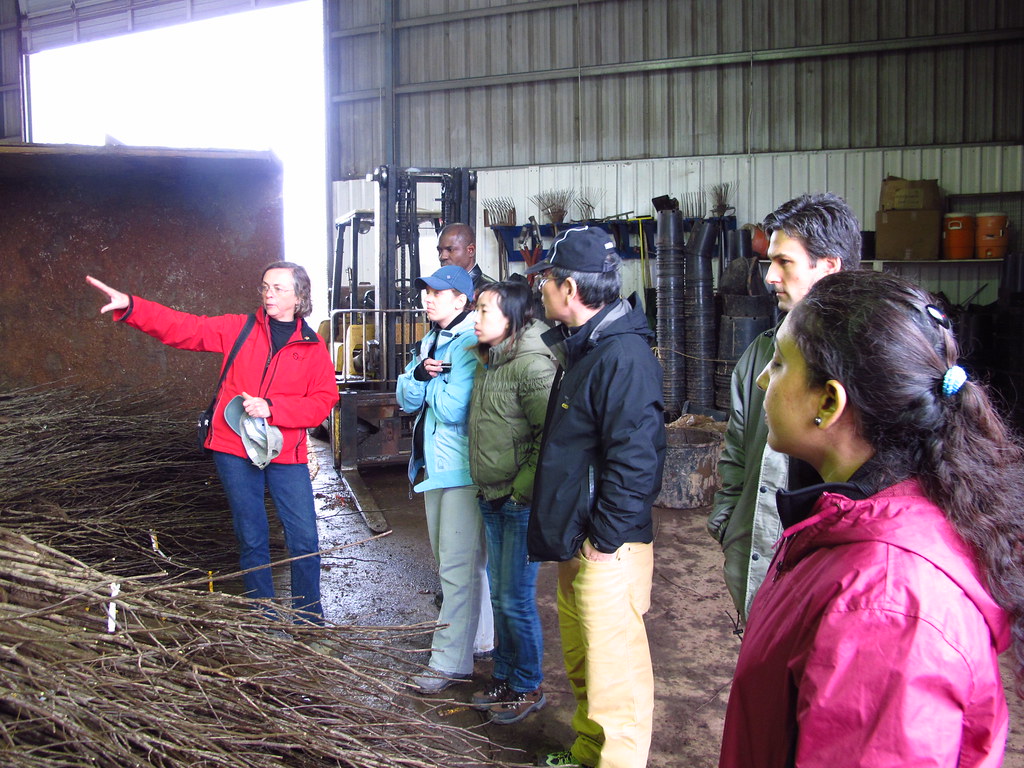 20110406 biggest nursery tour 103 World Forest Institute Flickr