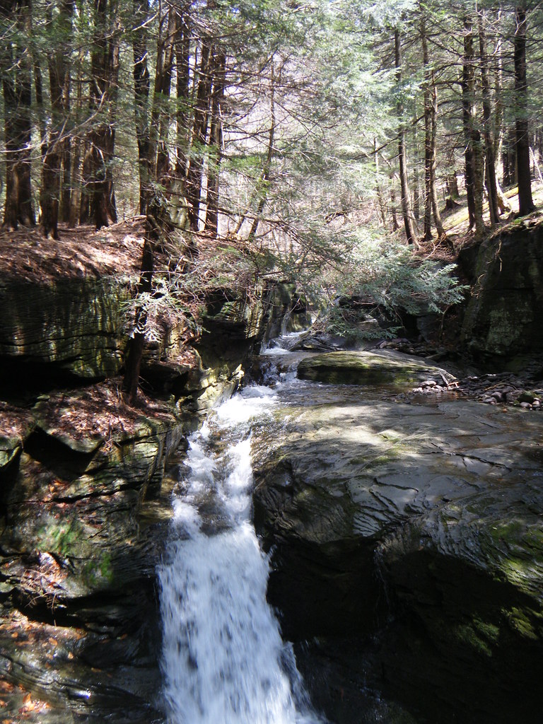 Shandaken Brook LeanTo Hike 4/26/11 Follow along on thi… Flickr
