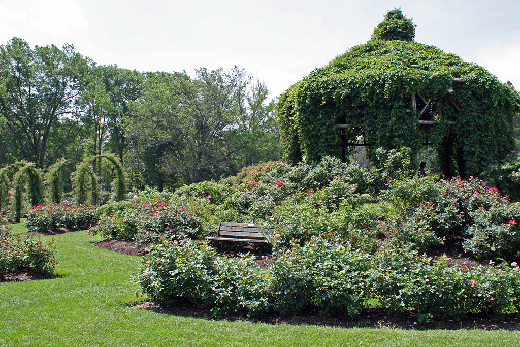 Elizabeth Park Rose Garden bbcamericangirl Flickr