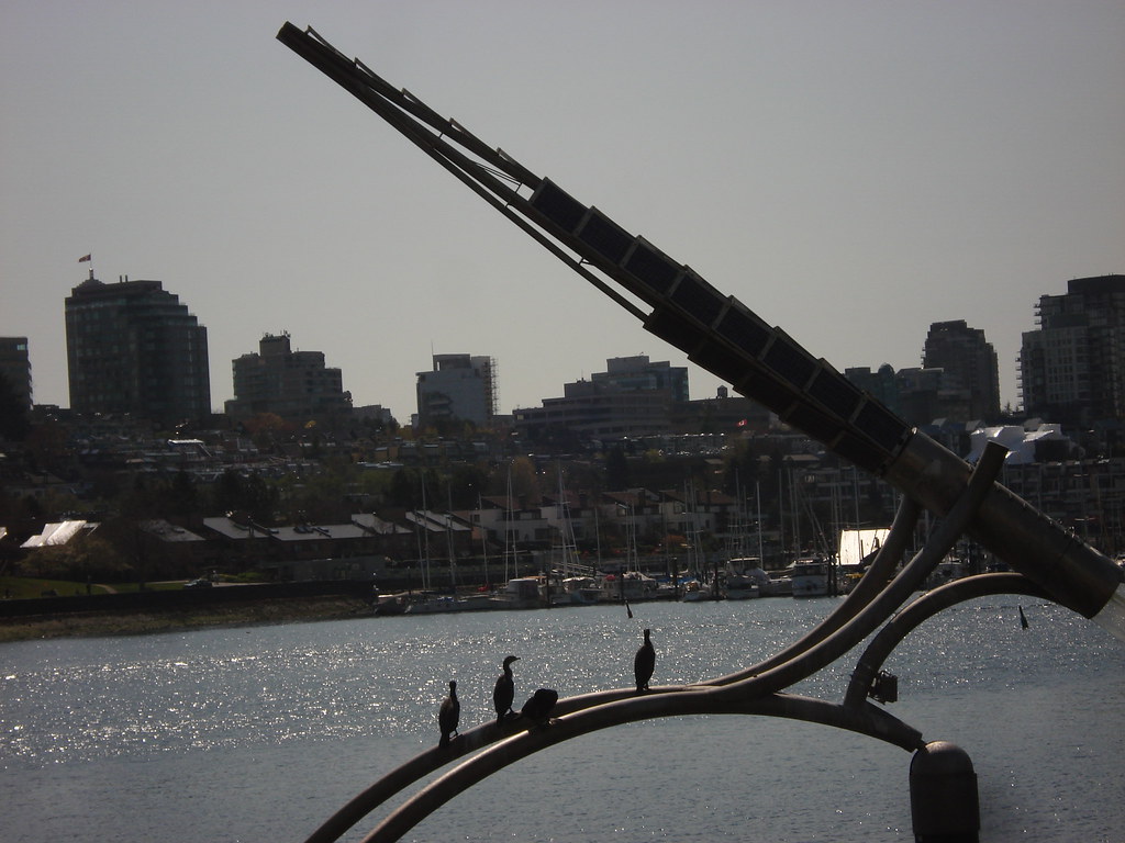 Cormorant cafe Rebecca Fairbanks Flickr