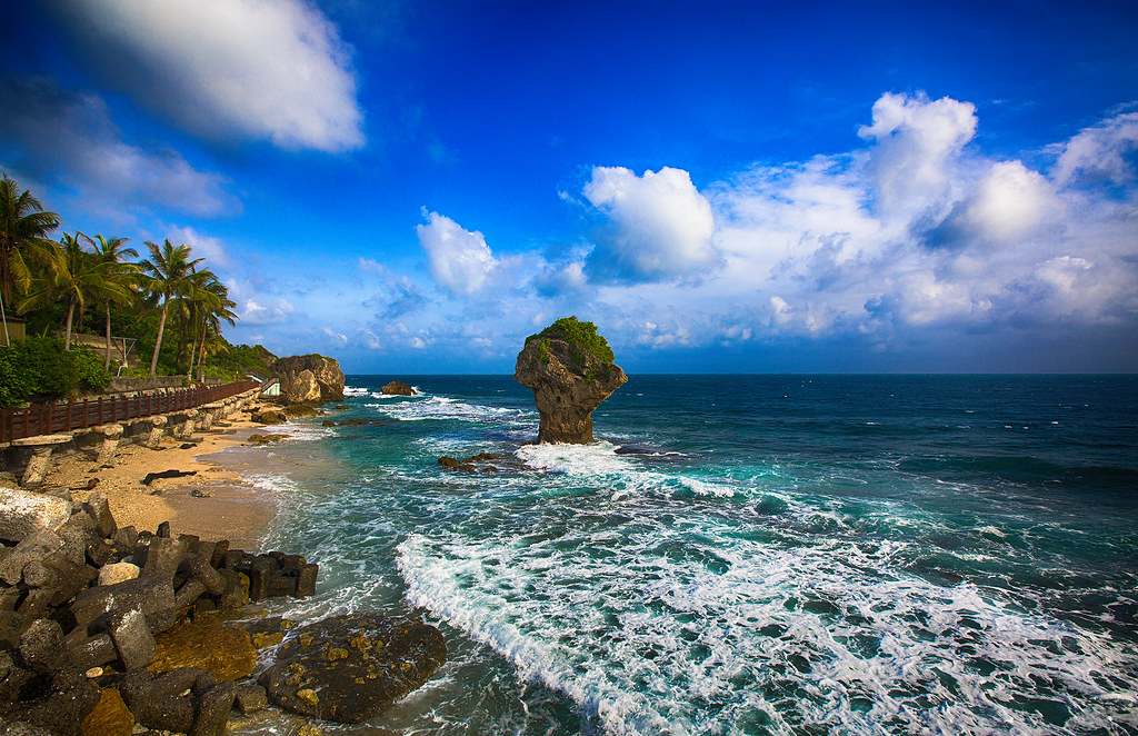20150711A93A6223H(2048) Summer vacation,Vase rock,Taiwan Flickr