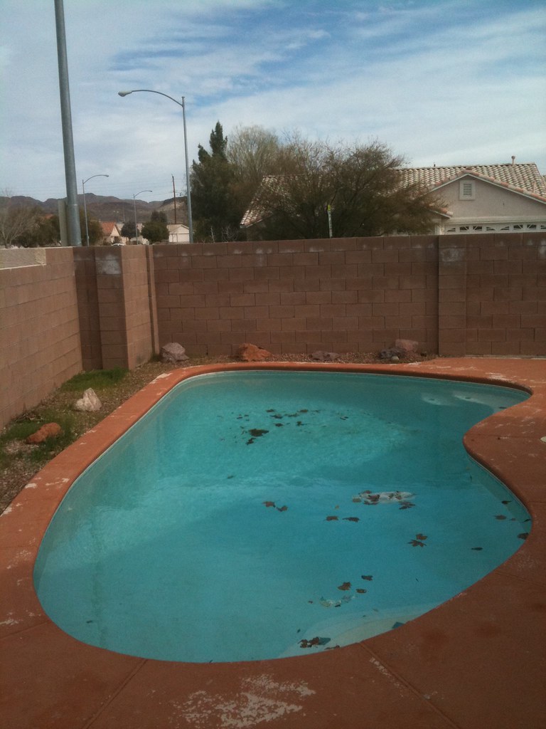 pool with leaves pool with leaves kyle Flickr