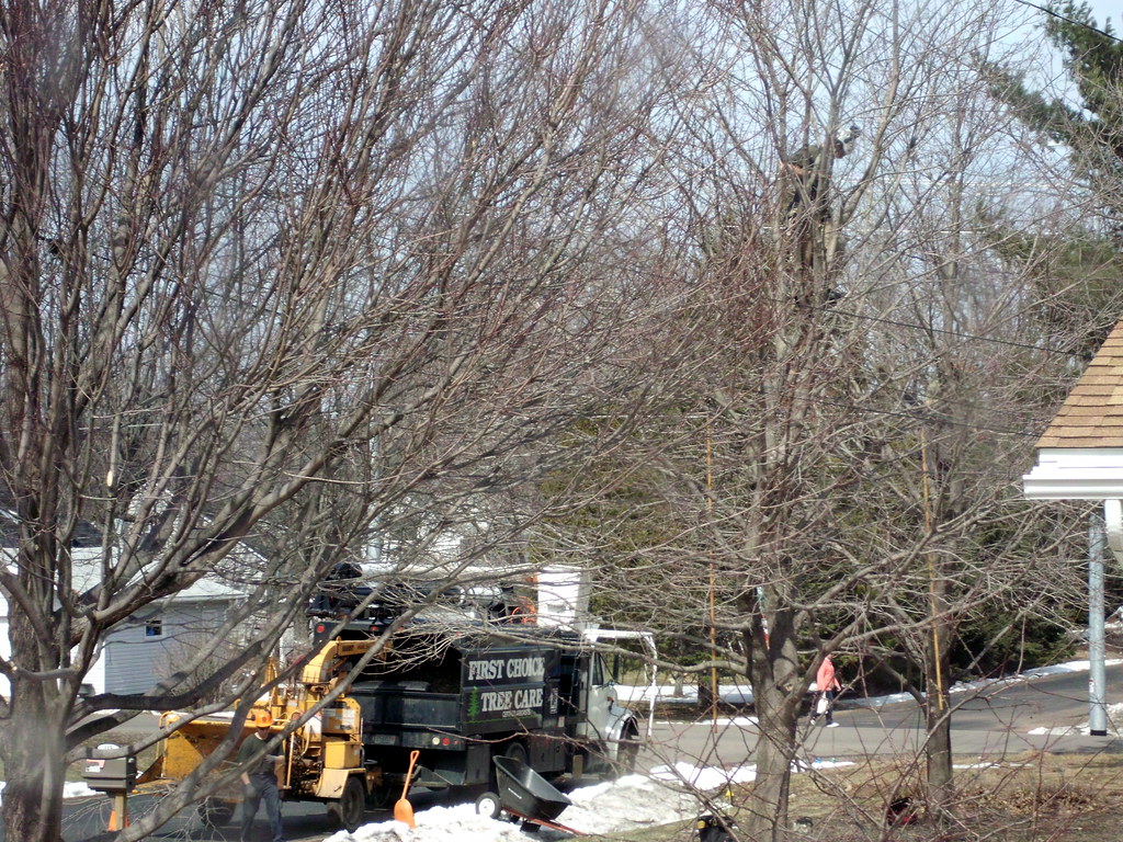 First Choice Tree Care Service Truck With Attached Bandit … Flickr