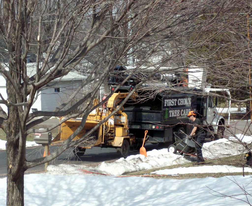 First Choice Tree Care Worker Taking Sticks To The Wood Ch… Flickr