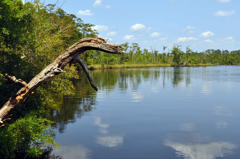 St. Marys River The St. Marys River (named Saint Marys Riv… Flickr