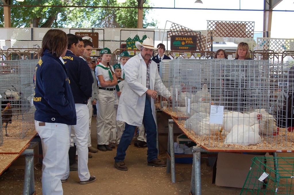 Los Banos Spring Fair Poultry Meat pen judging. Cowgirl Jules Flickr