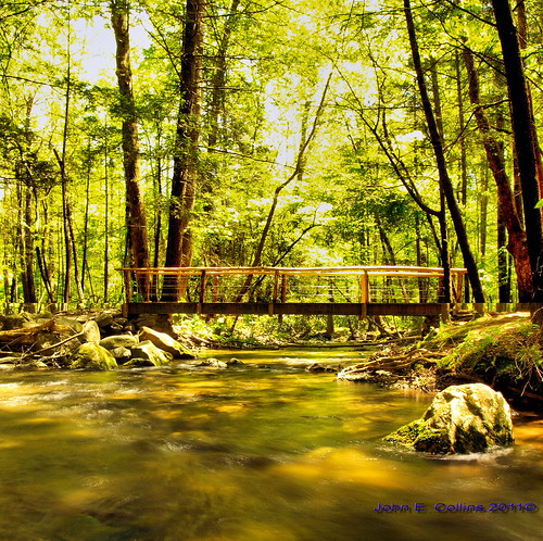 Sugarlands Visitor Center Trail April 2011 Sugarlands