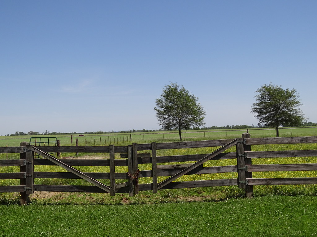 McGee Farm Gate to side pasture Shannon McGee Flickr