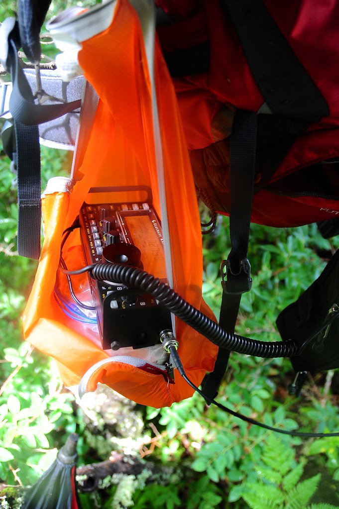 W4C/CM021 Pilot Mountain Flickr