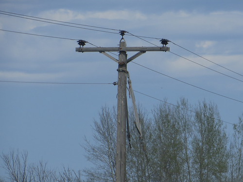 Xcel Energy 23.9kv Power94 Flickr