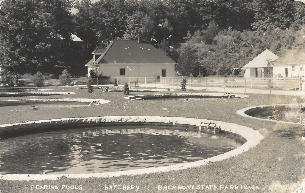 Strawberry Point, Iowa, Backbone State Park, Fish Hatchery, Rearing