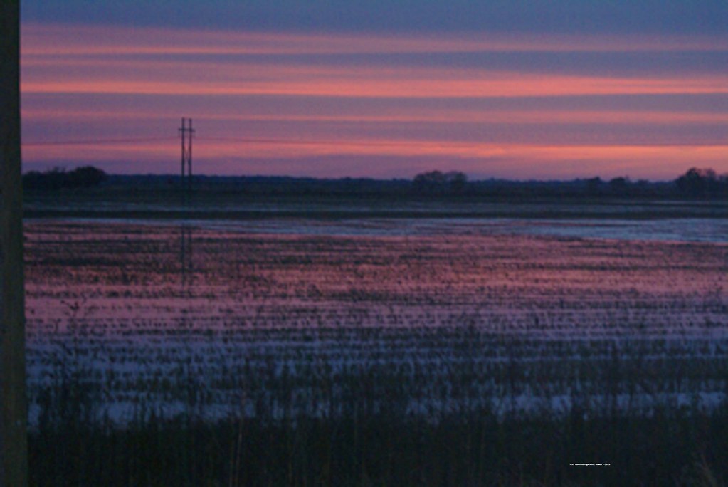 Southwest Louisiana Winter Evening Southwest Louisiana Win… Flickr
