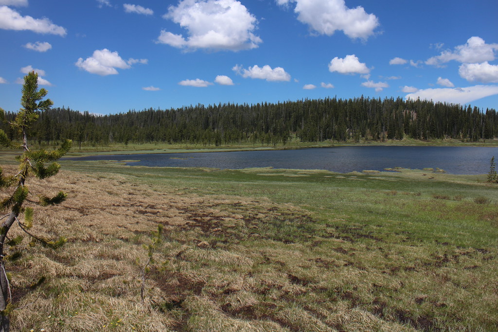 IMG_3877 Day 5 First good view of Madison Lake yellowstonehiker Flickr