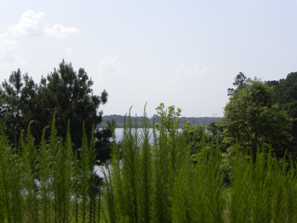 Elevation of Cowan Road Elementary School, Cowan Rd, Griffin, GA, USA Topographic Map
