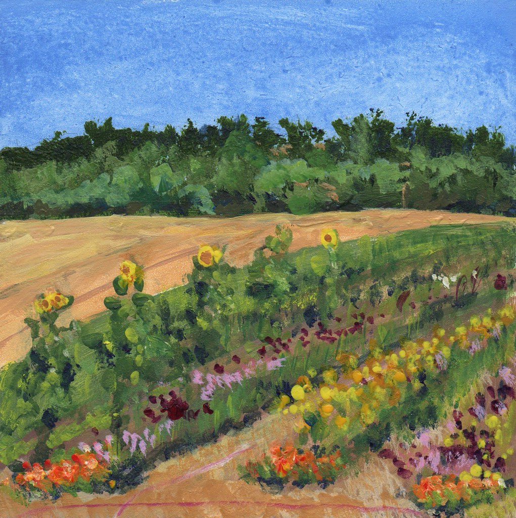 Minto Island Grower's Farm This morning I joined in anothe… Flickr