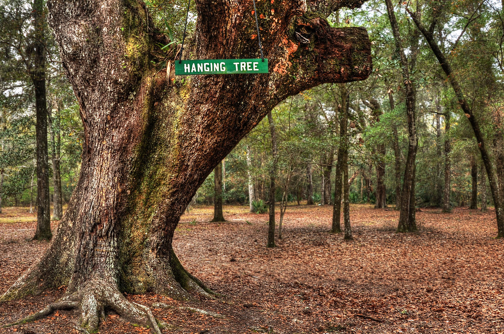 Hanging Tree Historic Blakeley State Park, Alabama osbo Flickr