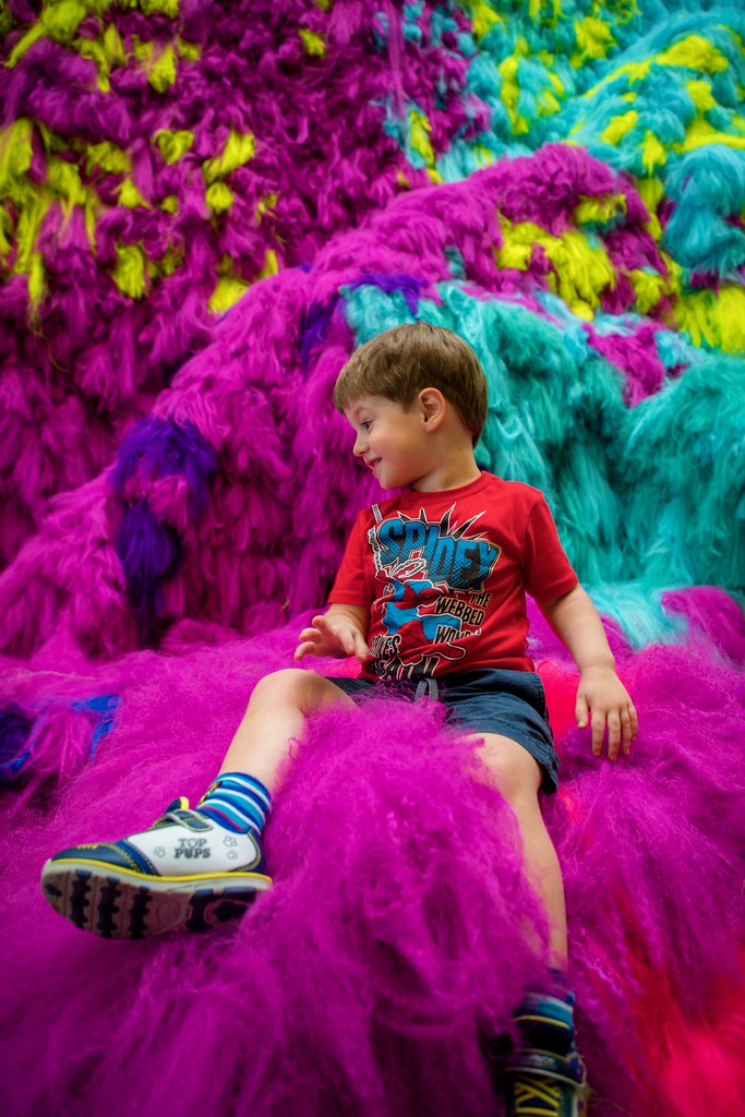 Chilling on the furry wall. 362/366 We finally saw it. The… Flickr