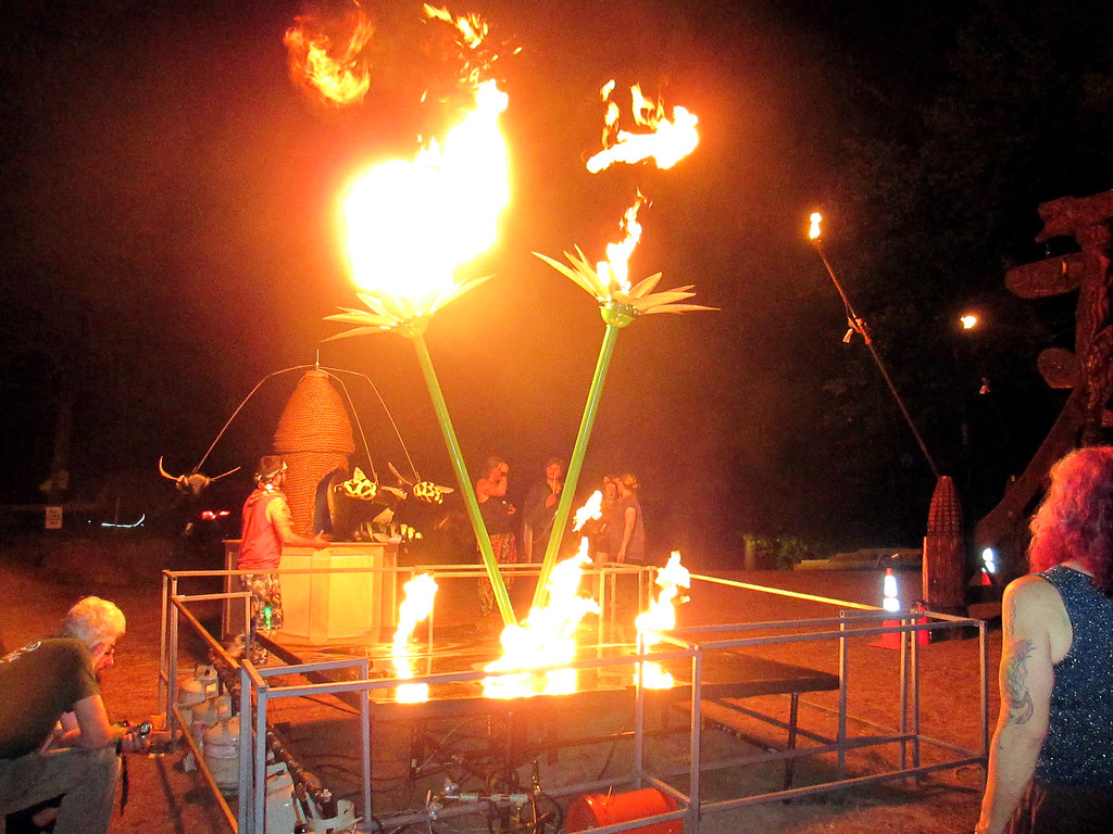 20160611 2134 Wickerman 2016 fire oasis fire flowers… Flickr