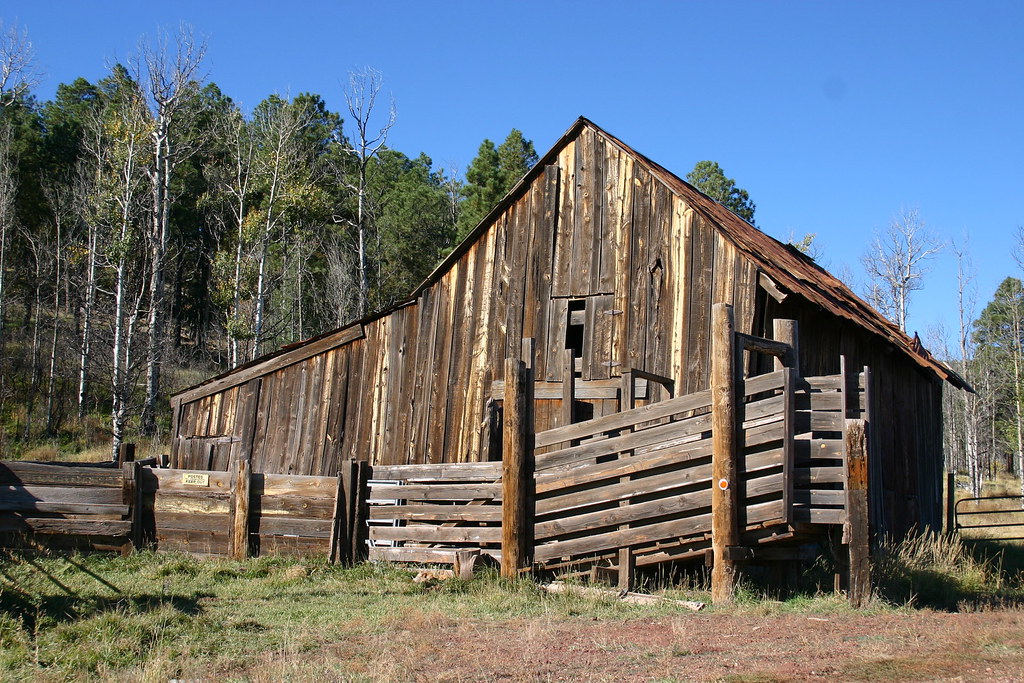 Cabin, Parks, near Williams, Arizona An old wooden cabin s… Flickr