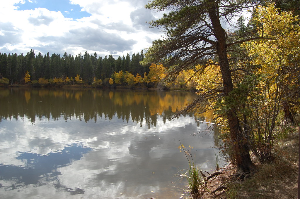 by the water October at Mud Lake Elaine Erb Flickr